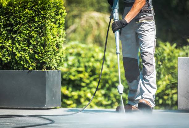 Best Animal Enclosure Cleaning  in Deforest, WI